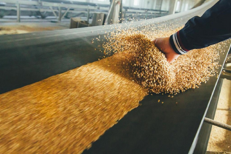 Египет проведёт новый тендер на импорт пшеницы
